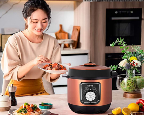 Có nên mua nồi áp suất điện Sato 6AS051.N?