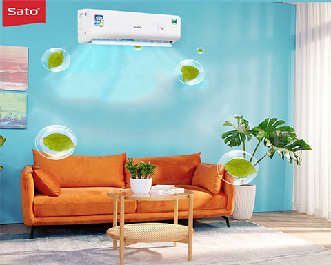 Bí quyết giảm độ ẩm trong những ngày nồm khó chịu