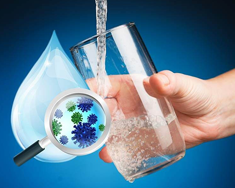 Vi sinh vật có hại trong nguồn nước gây ảnh hưởng gì cho sức khỏe con người?