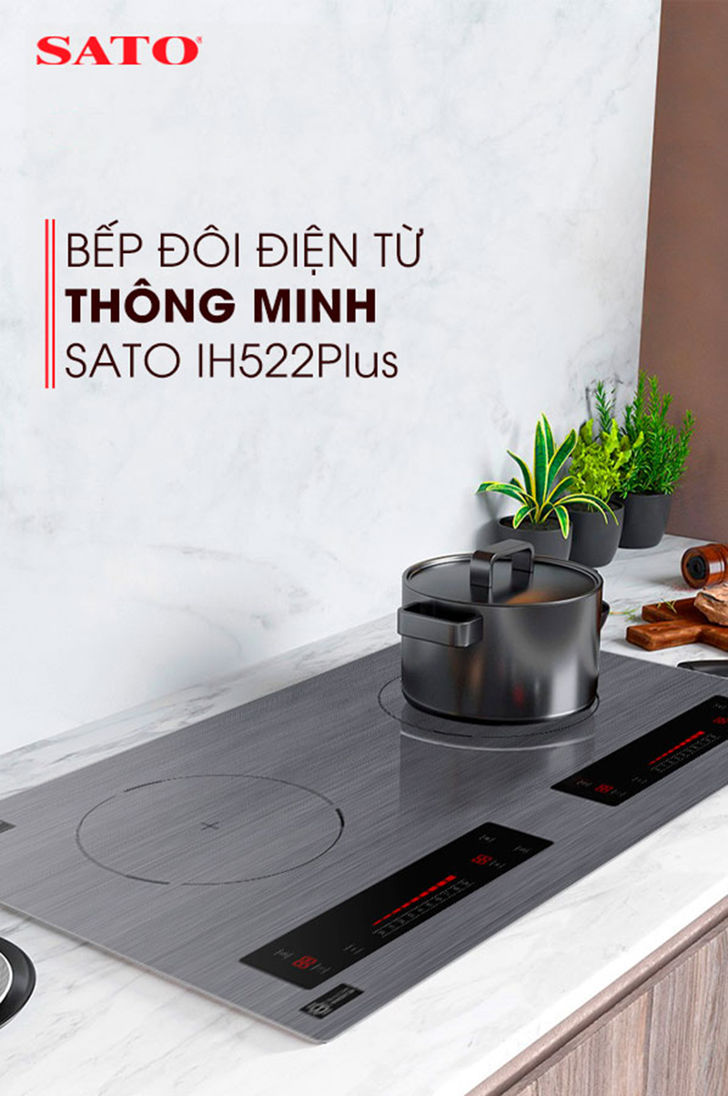 bếp đôi điện từ 