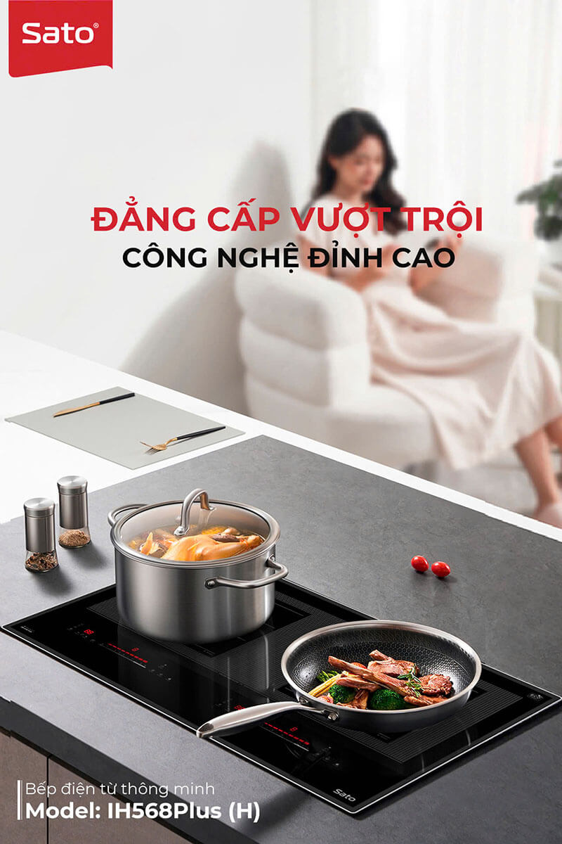 Tìm hiểu chi tiết về bếp đôi điện từ thông minh Sato IH568Plus (H) 1