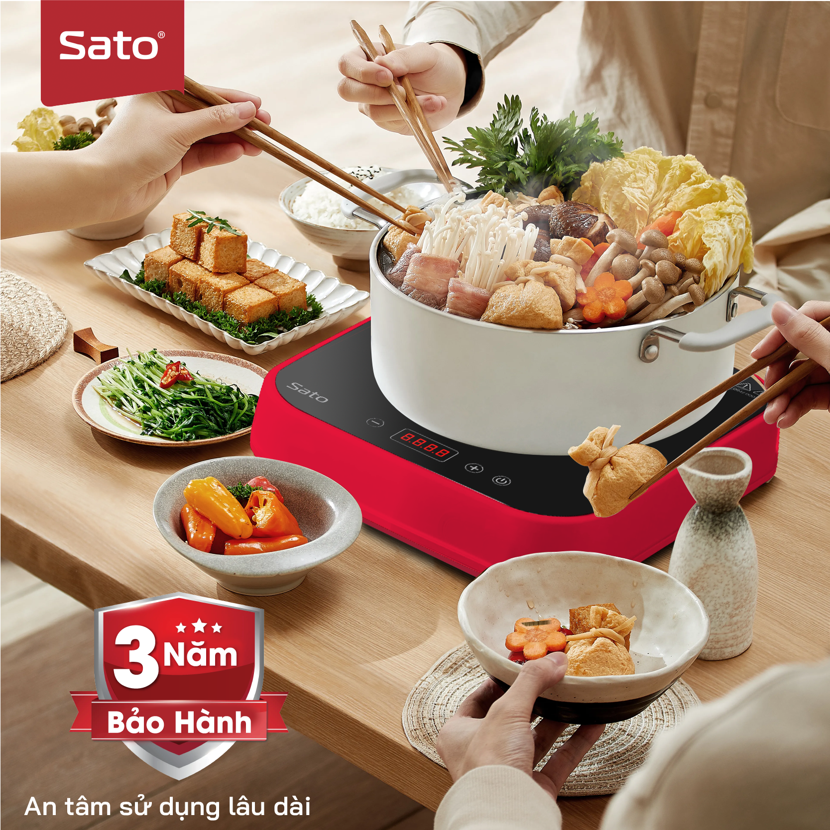 Bếp từ đơn Sato BT031.N2