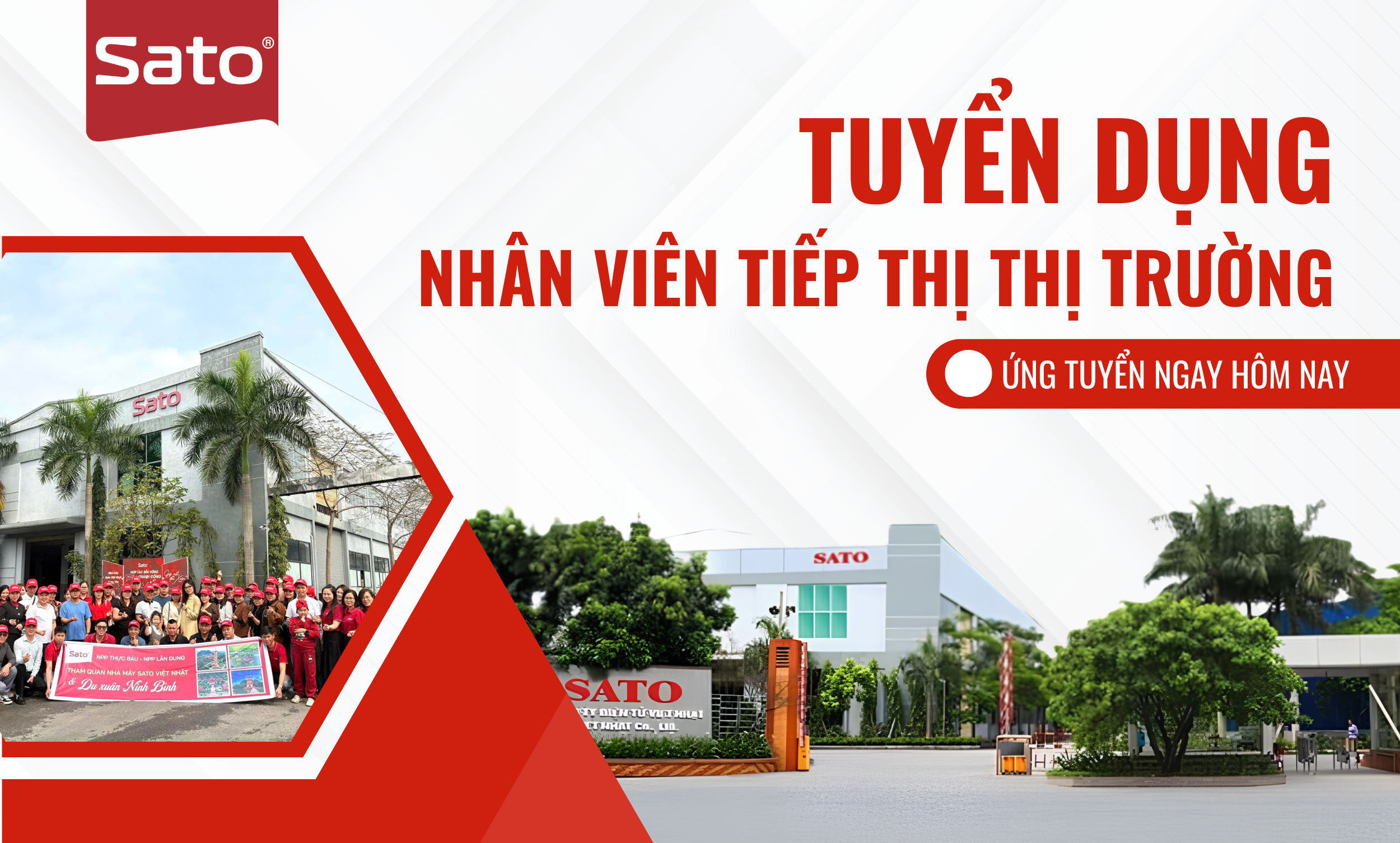 Tuyển Nhân Viên Tiếp Thị Thị Trường – Cơ Hội Việc Làm Hấp Dẫn Tại Sato Việt Nhật